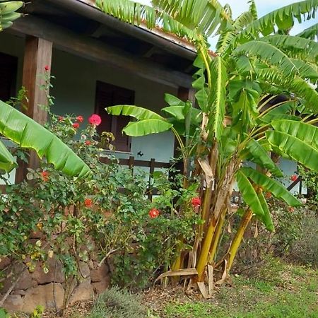 Agriturismo Su Tiresi 卡拉古诺内 外观 照片