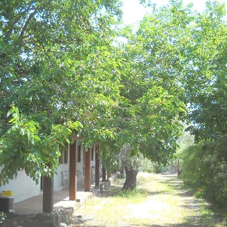 Agriturismo Su Tiresi 卡拉古诺内 外观 照片