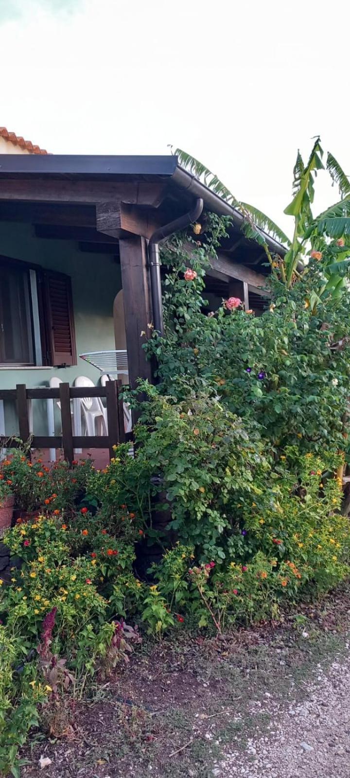 Agriturismo Su Tiresi 卡拉古诺内 外观 照片