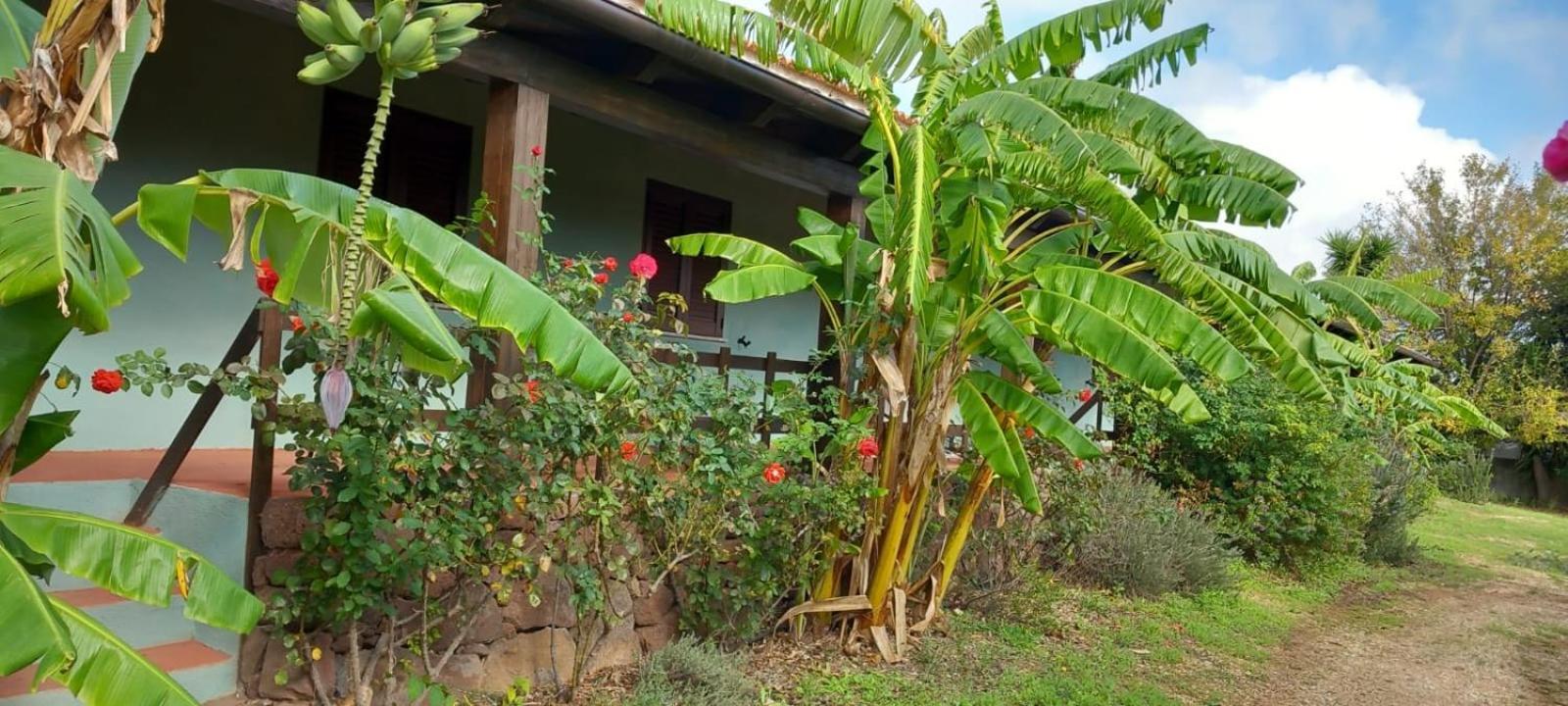 Agriturismo Su Tiresi 卡拉古诺内 外观 照片