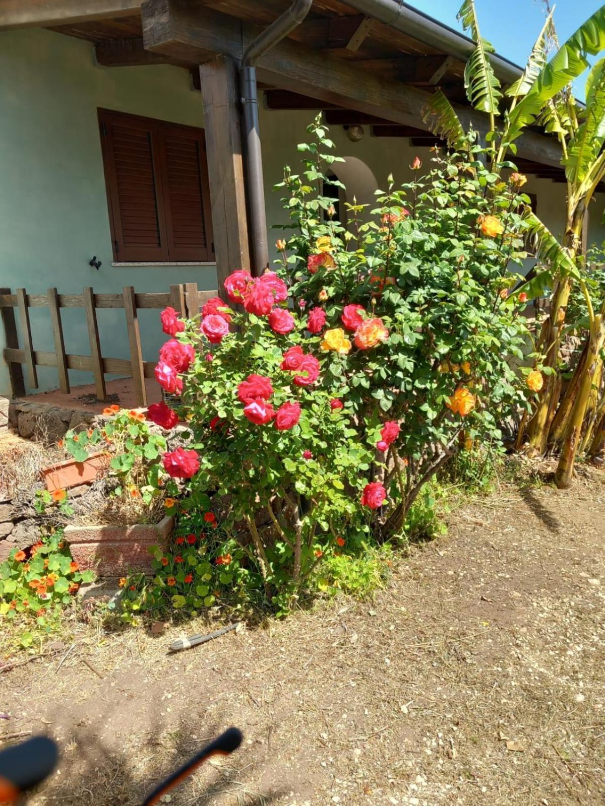 Agriturismo Su Tiresi 卡拉古诺内 外观 照片