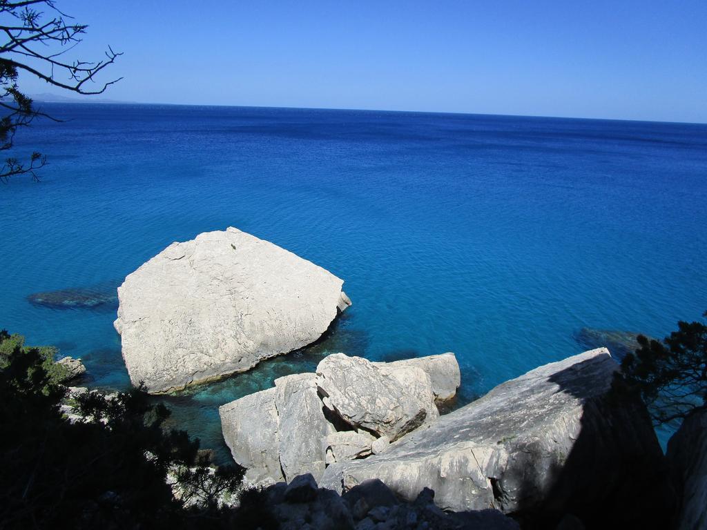 Agriturismo Su Tiresi 卡拉古诺内 外观 照片