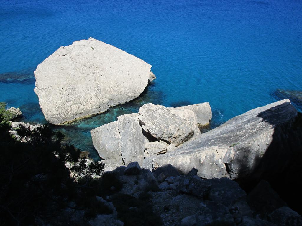 Agriturismo Su Tiresi 卡拉古诺内 外观 照片