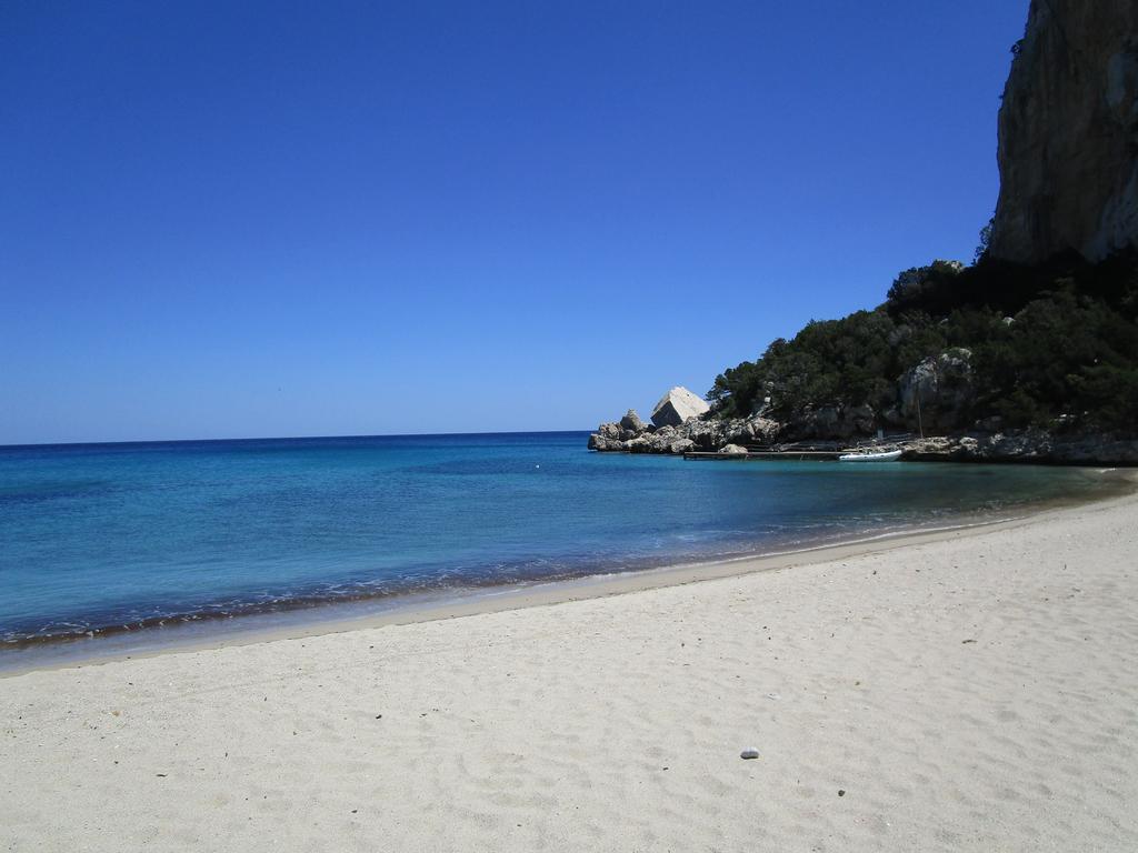Agriturismo Su Tiresi 卡拉古诺内 外观 照片
