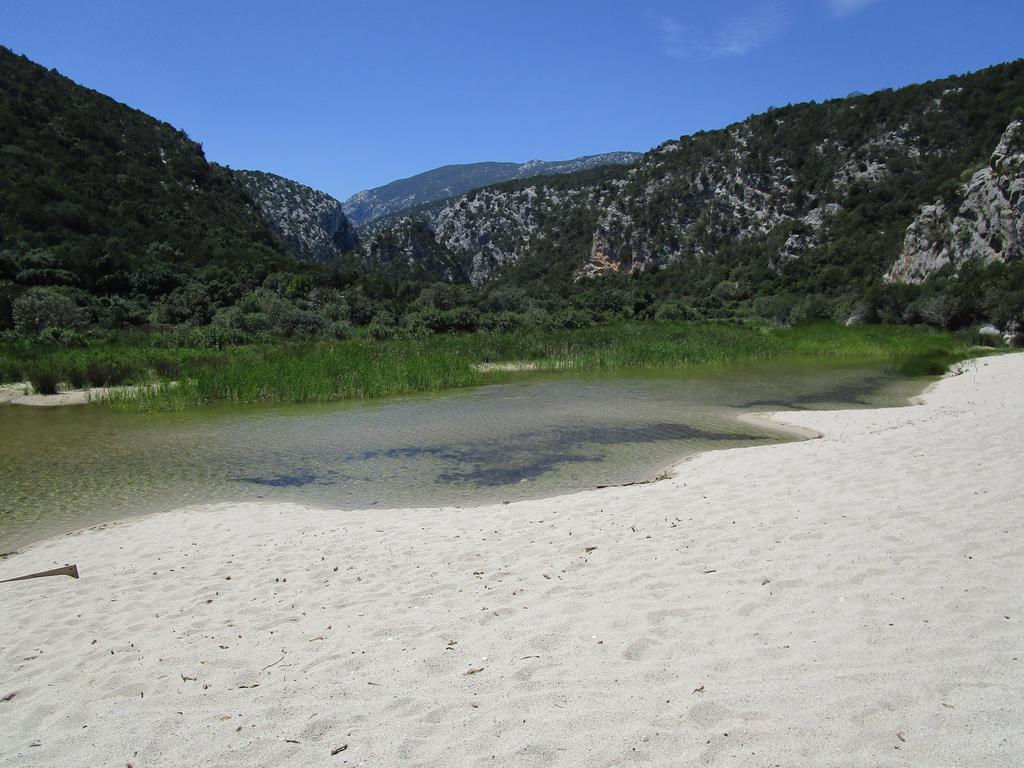 Agriturismo Su Tiresi 卡拉古诺内 外观 照片