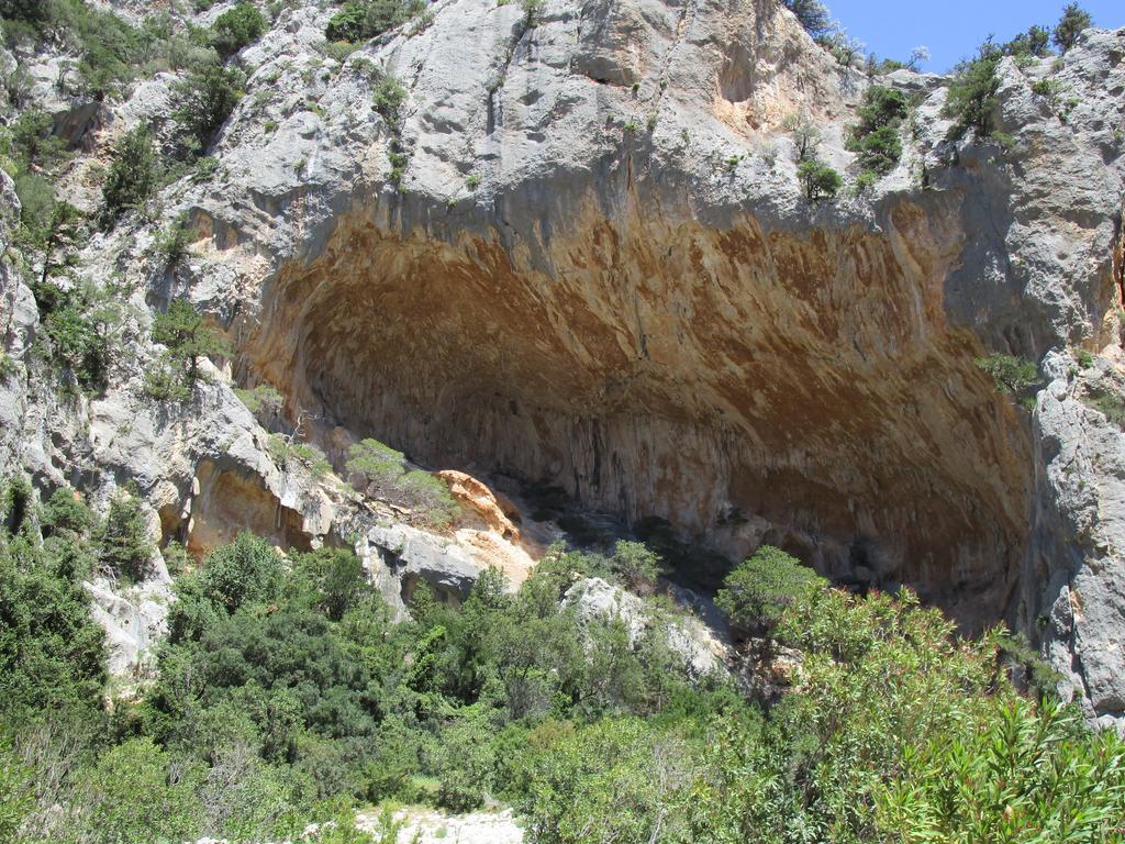 Agriturismo Su Tiresi 卡拉古诺内 外观 照片