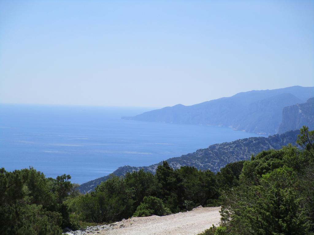 Agriturismo Su Tiresi 卡拉古诺内 外观 照片
