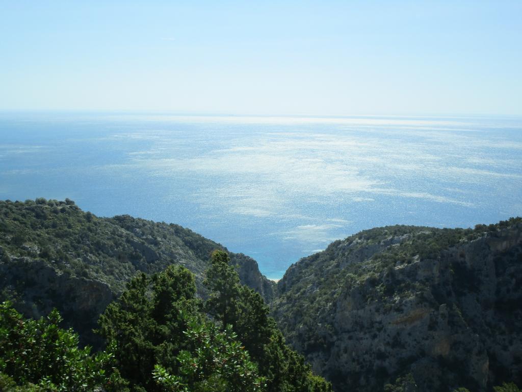 Agriturismo Su Tiresi 卡拉古诺内 外观 照片