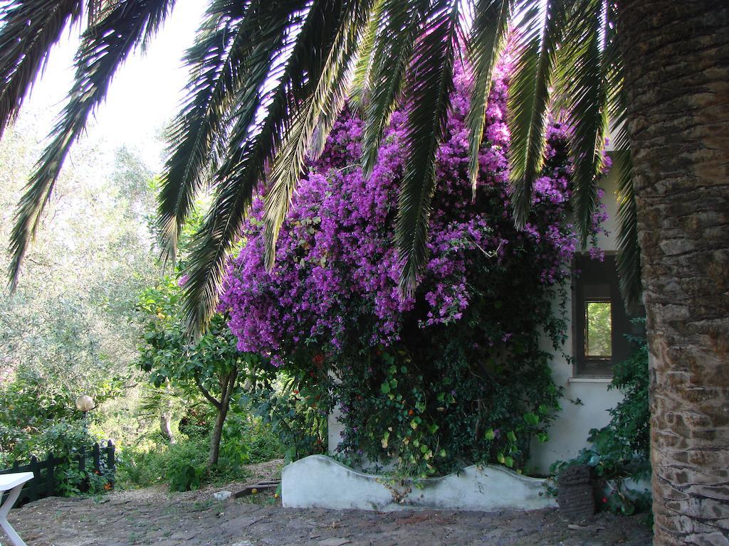 Agriturismo Su Tiresi 卡拉古诺内 外观 照片