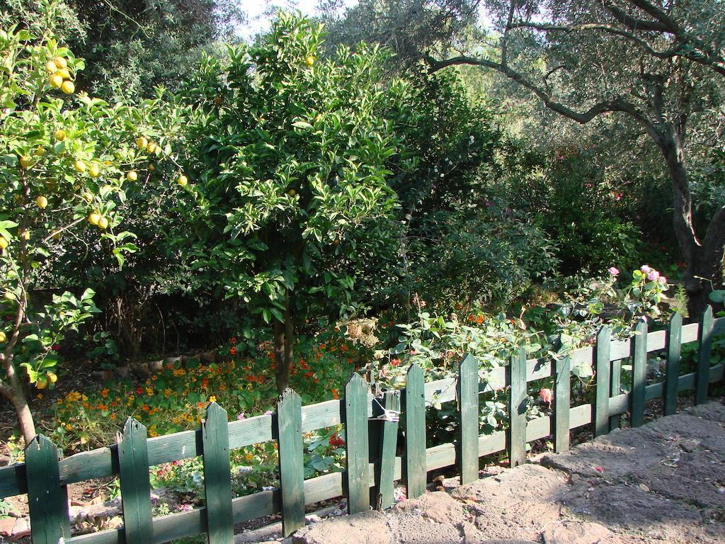 Agriturismo Su Tiresi 卡拉古诺内 外观 照片