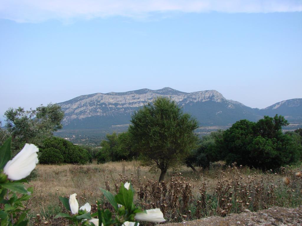 Agriturismo Su Tiresi 卡拉古诺内 外观 照片