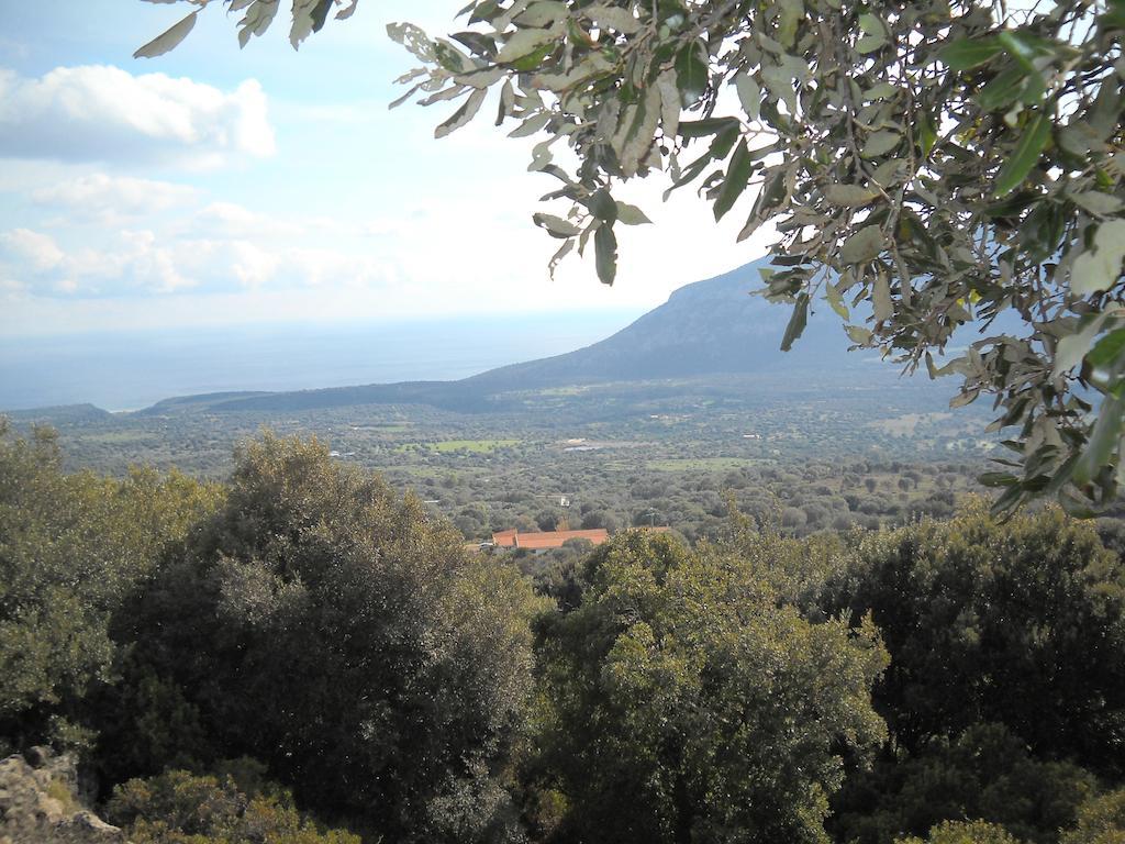 Agriturismo Su Tiresi 卡拉古诺内 外观 照片