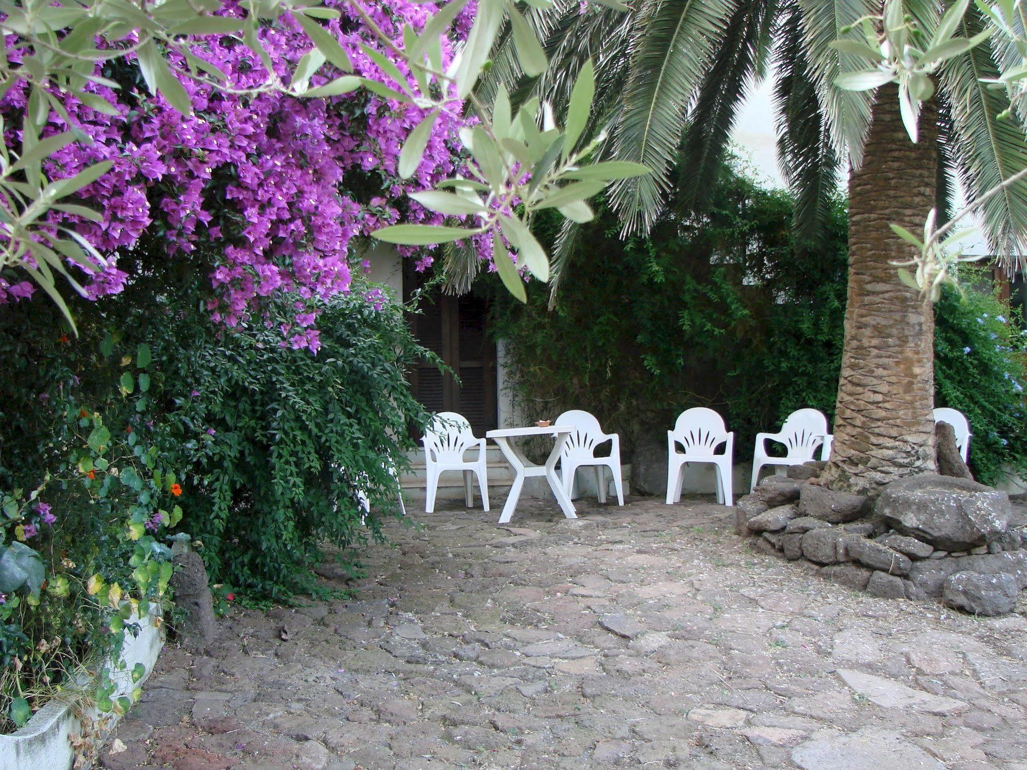 Agriturismo Su Tiresi 卡拉古诺内 外观 照片