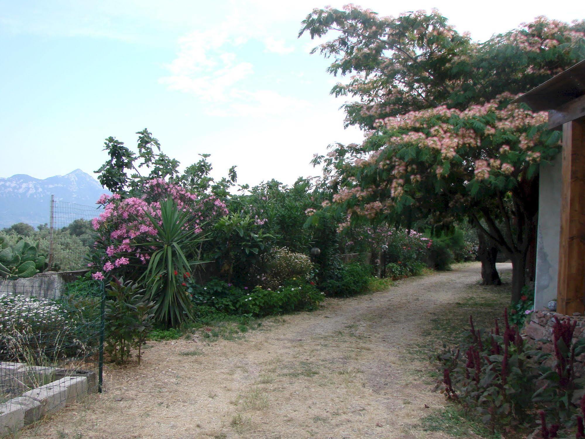 Agriturismo Su Tiresi 卡拉古诺内 外观 照片