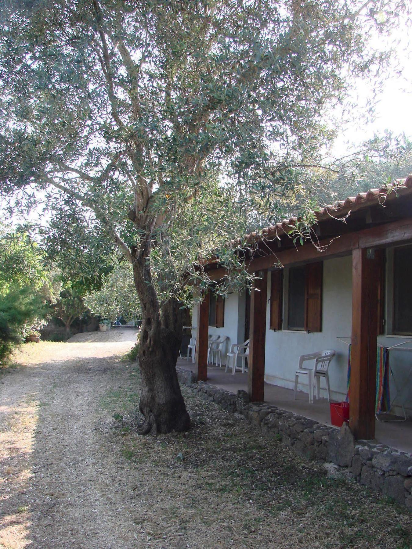 Agriturismo Su Tiresi 卡拉古诺内 外观 照片