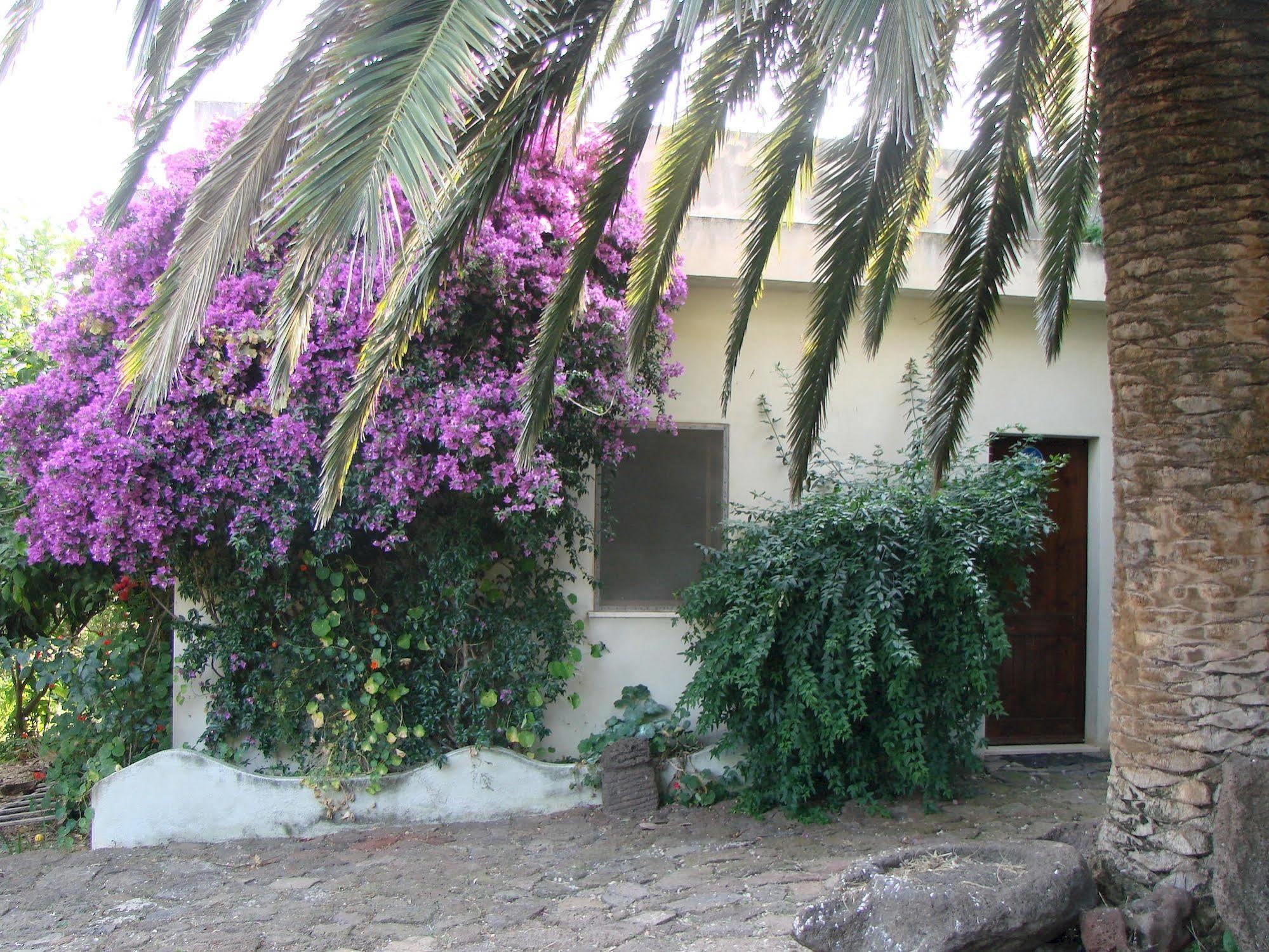 Agriturismo Su Tiresi 卡拉古诺内 外观 照片