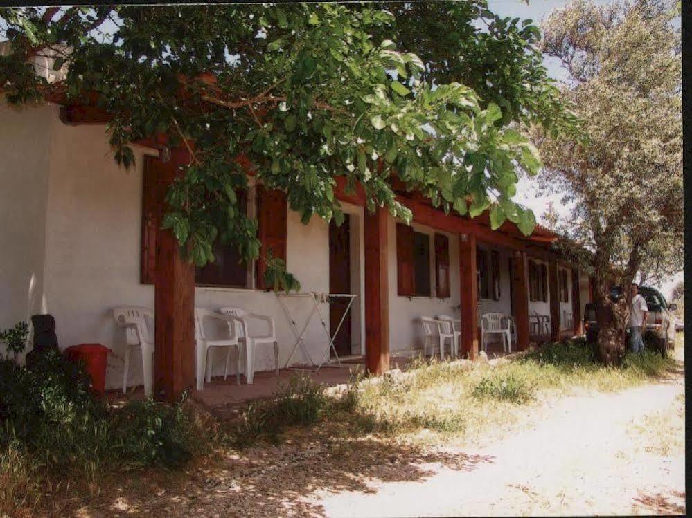 Agriturismo Su Tiresi 卡拉古诺内 外观 照片