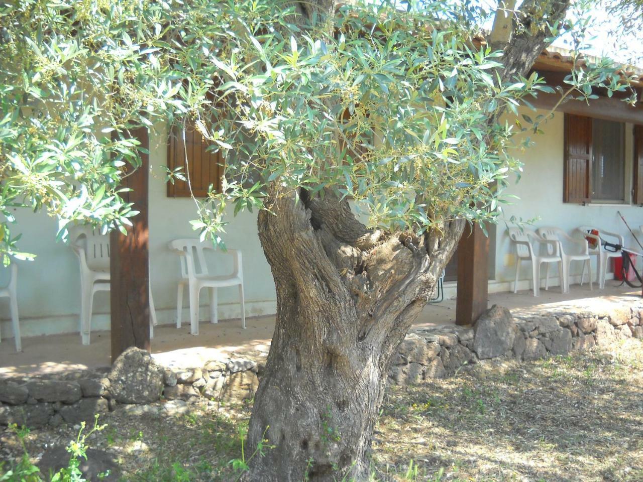 Agriturismo Su Tiresi 卡拉古诺内 外观 照片