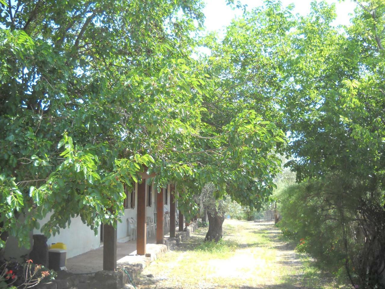 Agriturismo Su Tiresi 卡拉古诺内 外观 照片