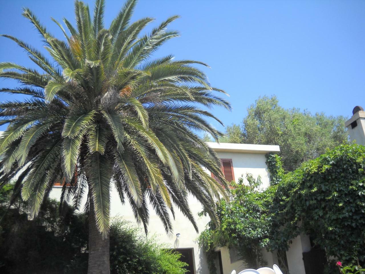 Agriturismo Su Tiresi 卡拉古诺内 外观 照片