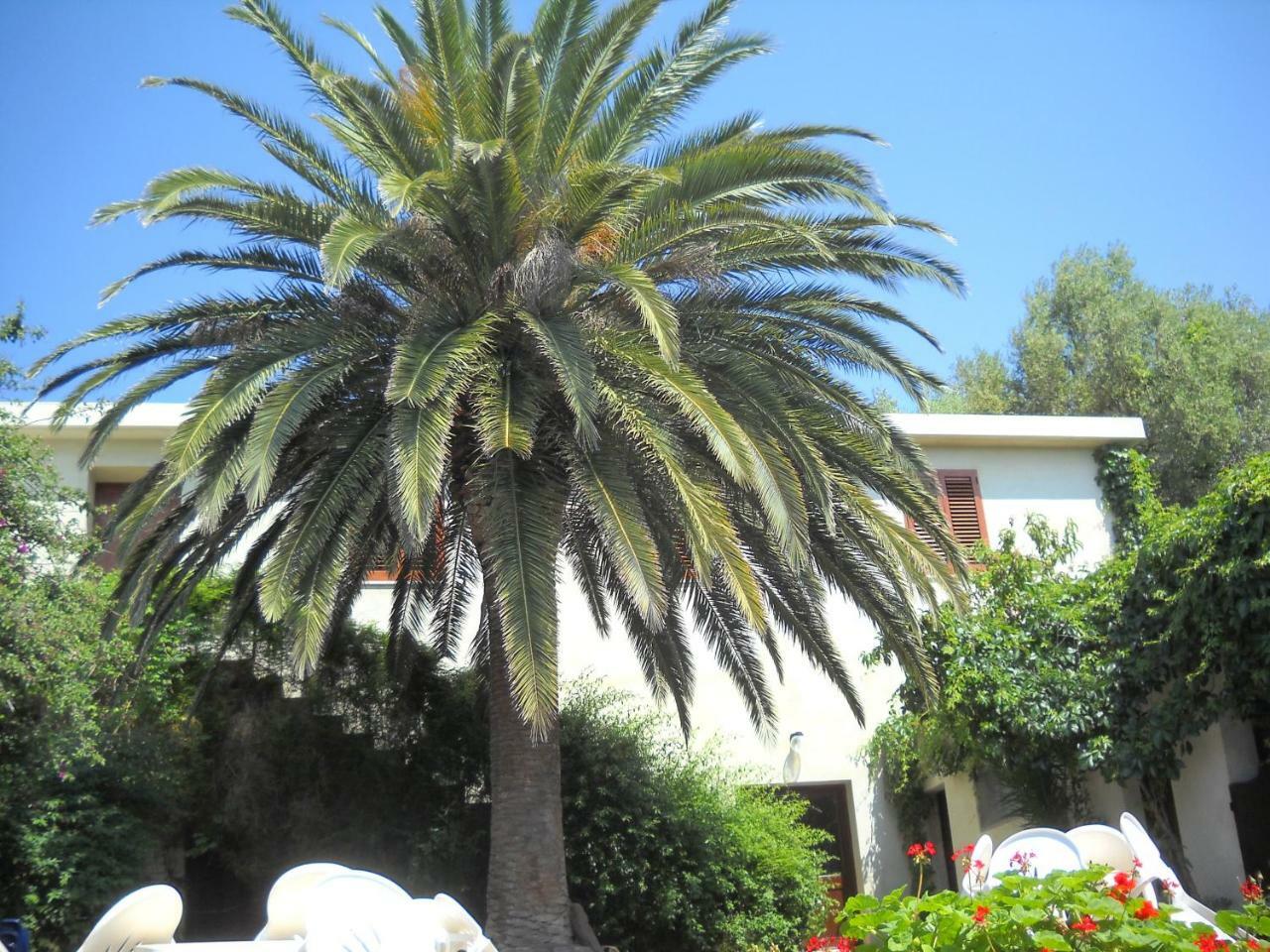 Agriturismo Su Tiresi 卡拉古诺内 外观 照片
